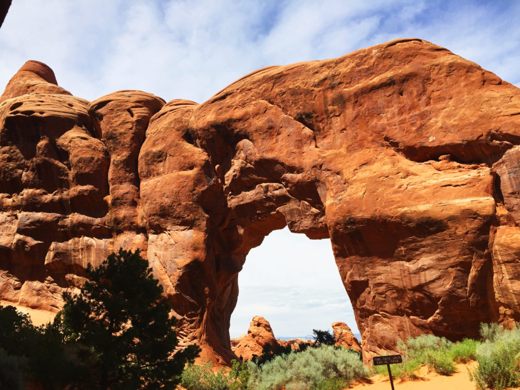 Pine Tree Arch