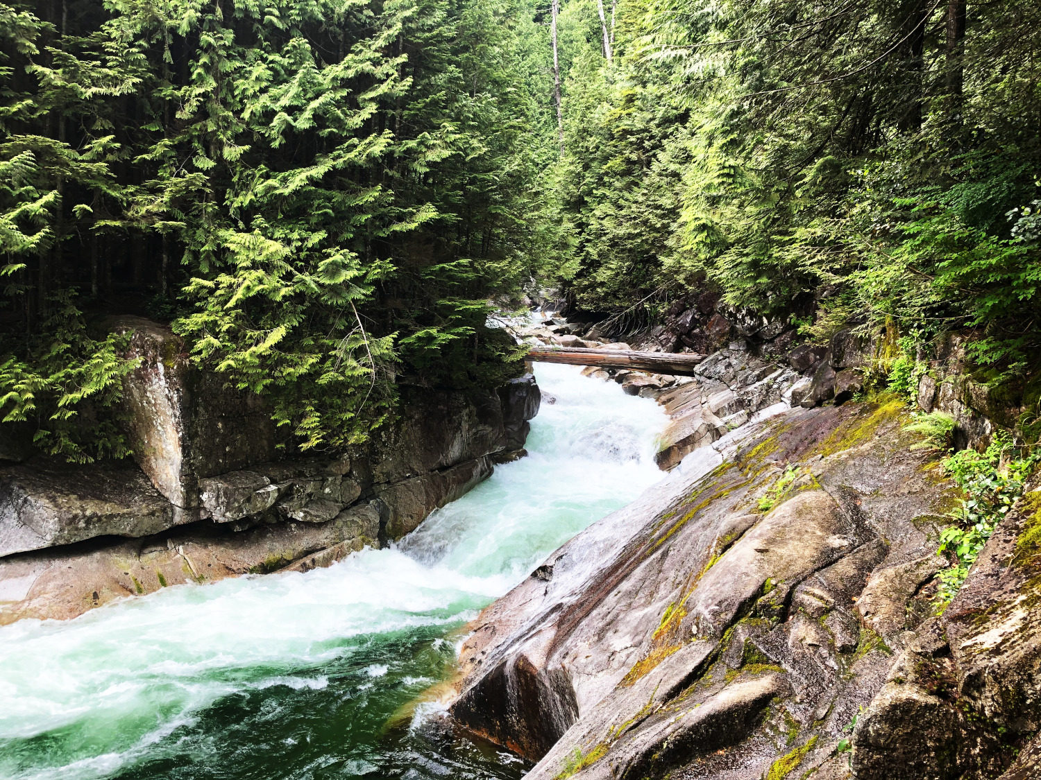 Family Hike at Golden Ears Provincial Park - Shashi Shanbhag