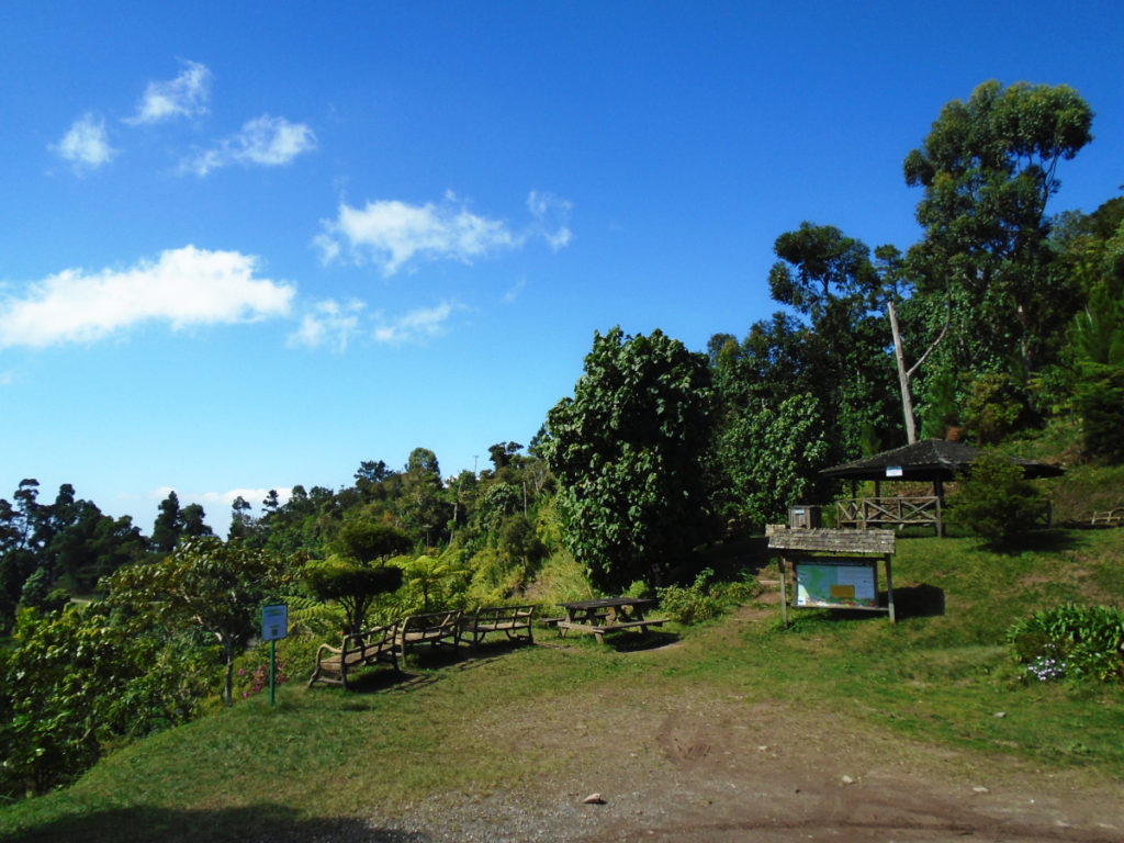 Holywell Recreational Park