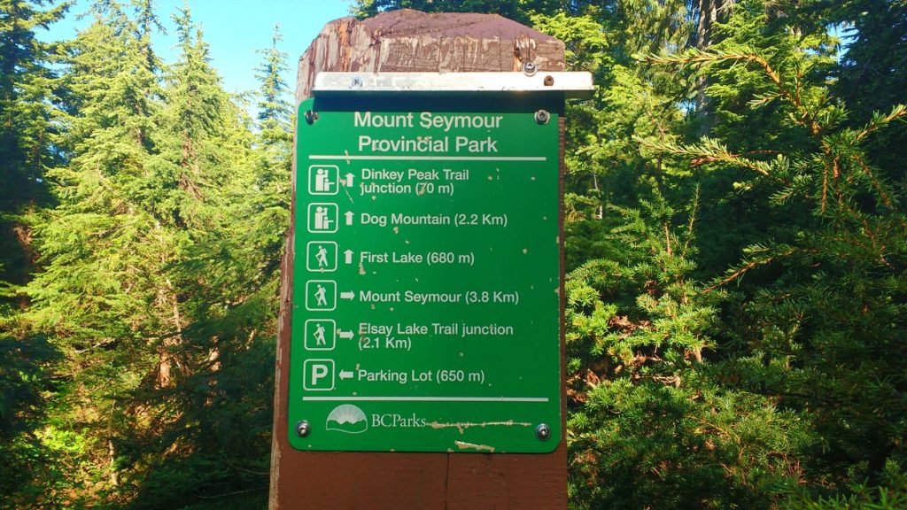 Mount Seymour First Peak Hike