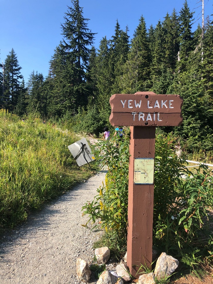 Yew Lake Trail