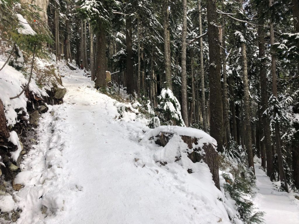 St. Mark's Summit - Howe Sound Crest Trail