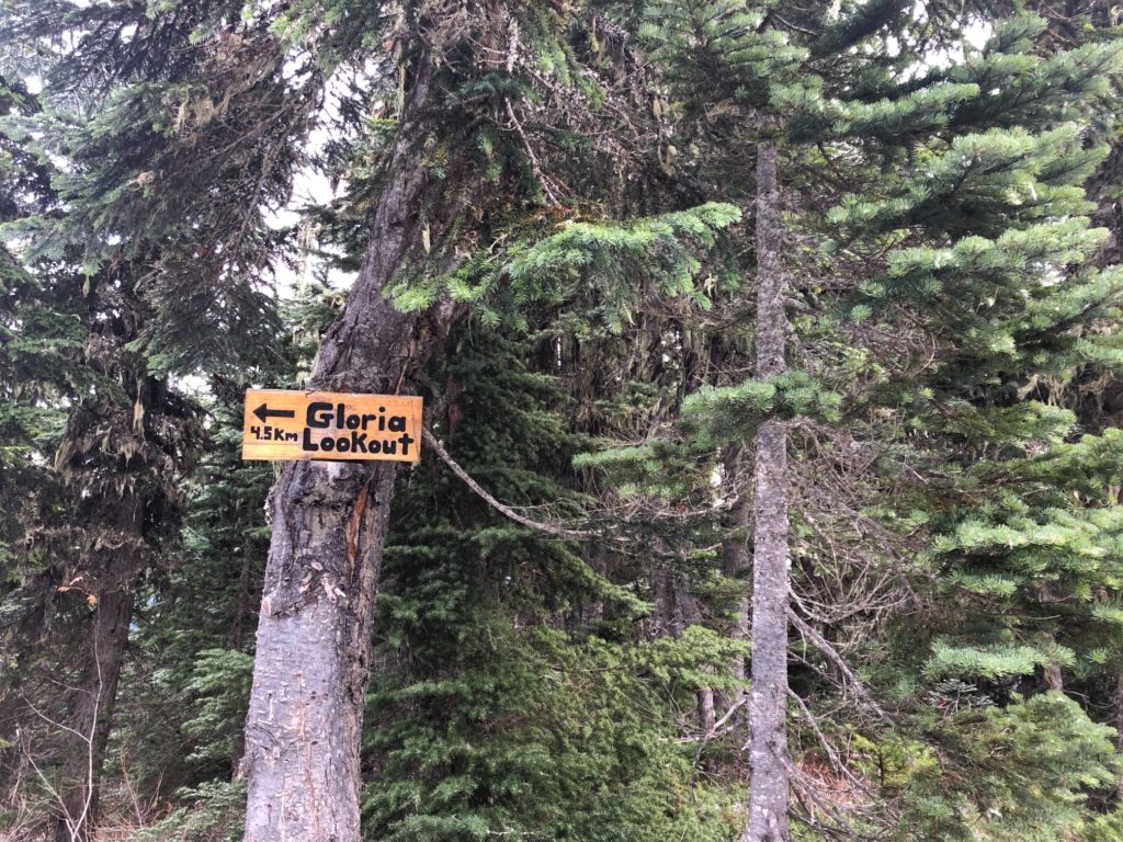 Elk-Thurston Trail