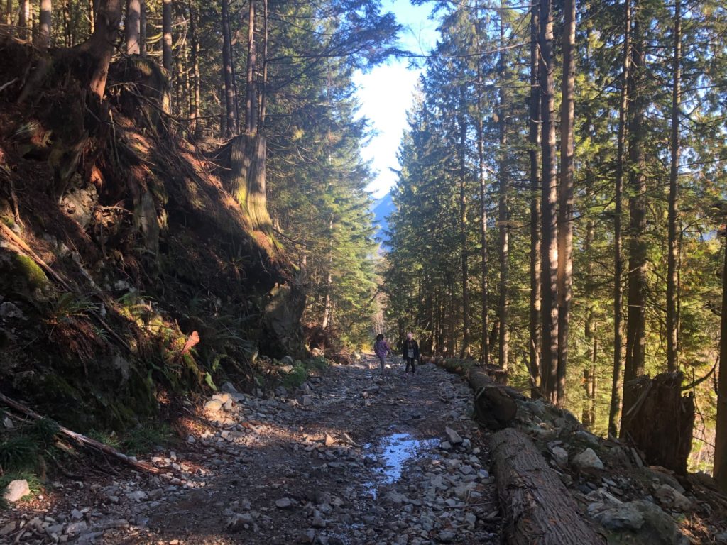 Cypress Lake Trail