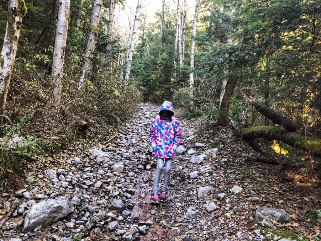 Cypress Lake Trail