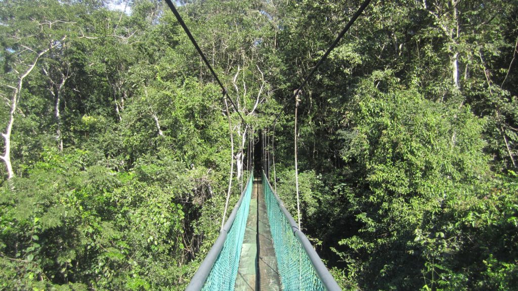 Ixpanpajul Natural Park Flores Guatemala