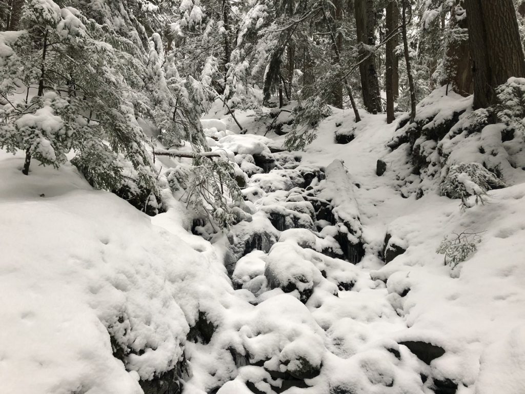 Garibaldi Lake Winter Hike
