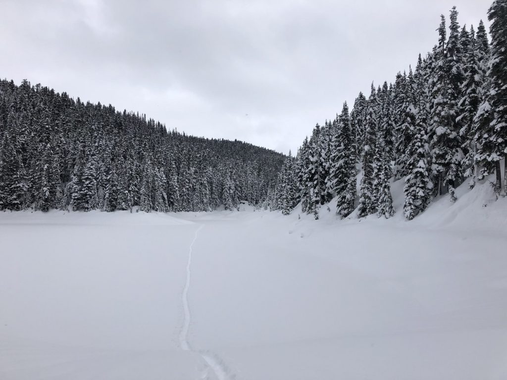 Garibaldi Lake Winter Hike
