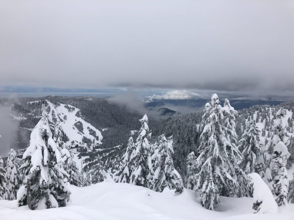 Hollyburn Mountain Winter Hike