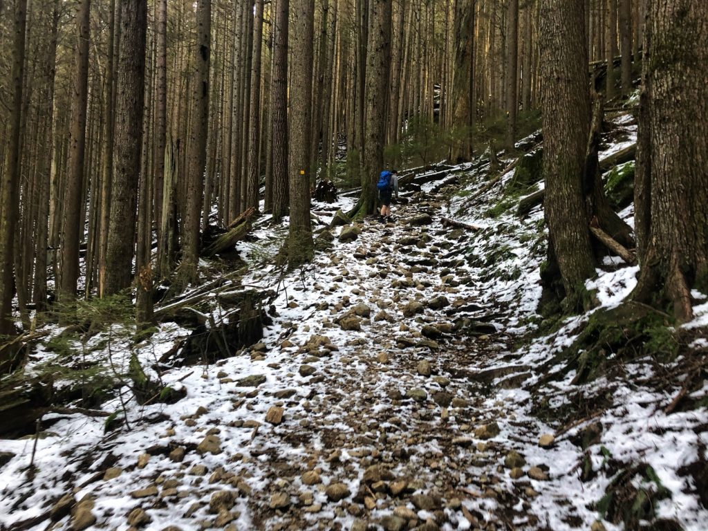 Lynn Peak Trail Winter