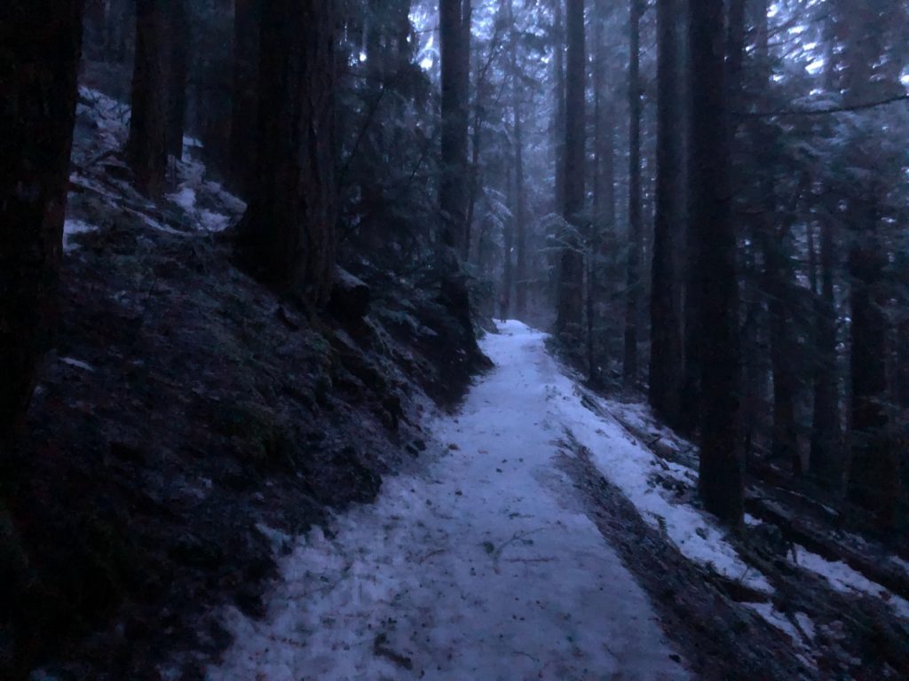 Garibaldi Lake Trail in Winter