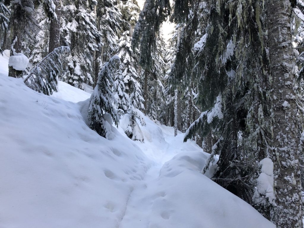 Garibaldi Lake Trail Winter