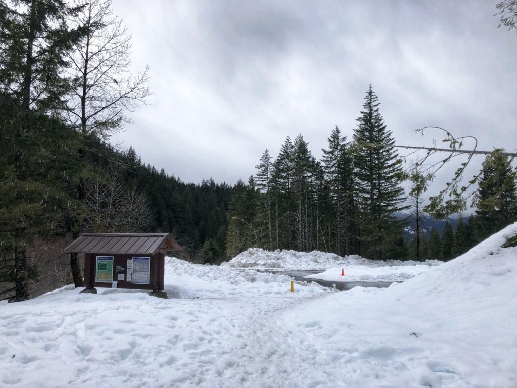 Garibaldi Lake Trail Winter