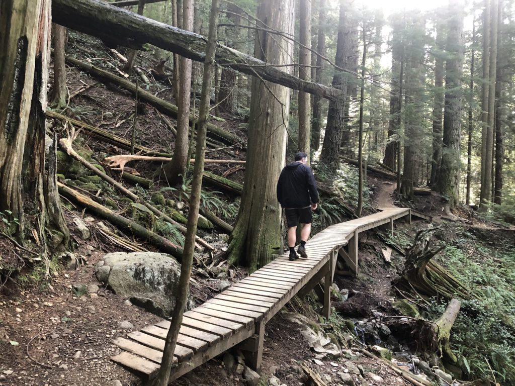 Mount Fromme Trail