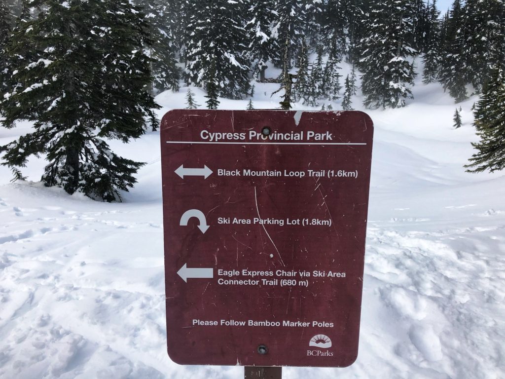 Black Mountain Winter Hike / Snowshoeing