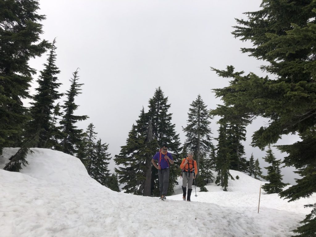 Mount Seymour Trail