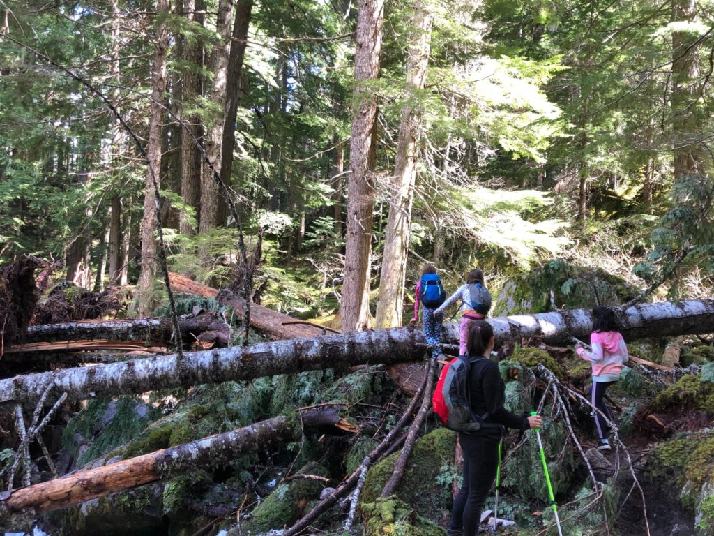 Lindeman and Greendrop Lake Hike