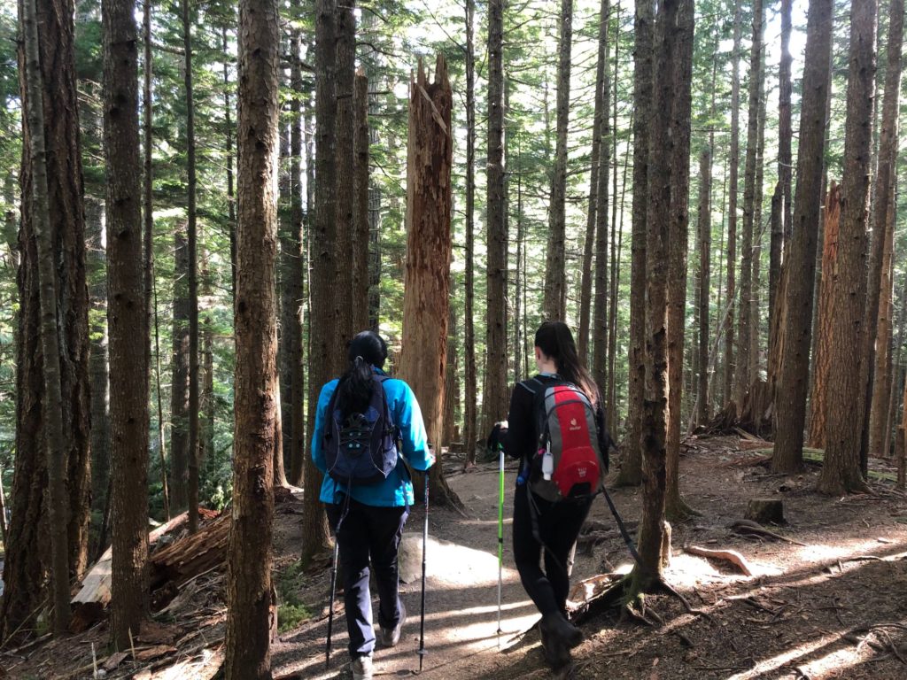 Lindeman and Greendrop Lake Hike