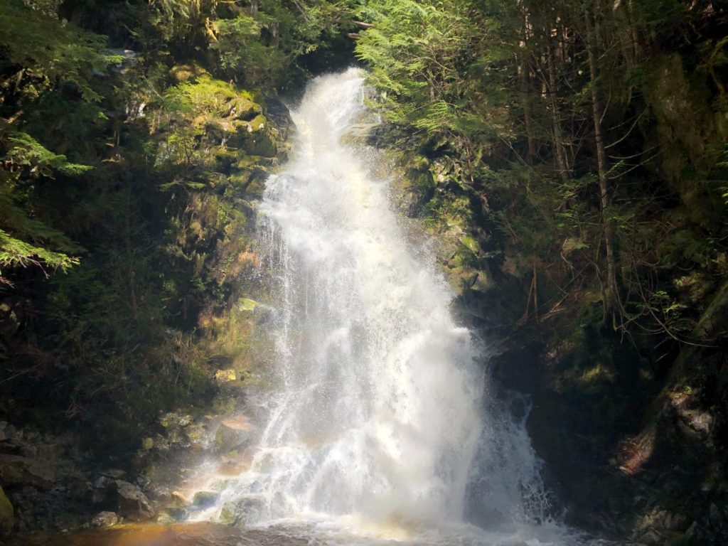 Sawblade Falls Hike