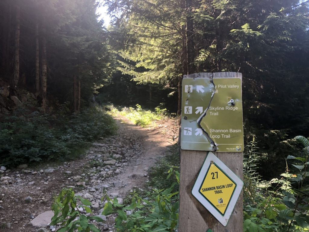 Mount Habrich - Sky Pilot Valley Trail