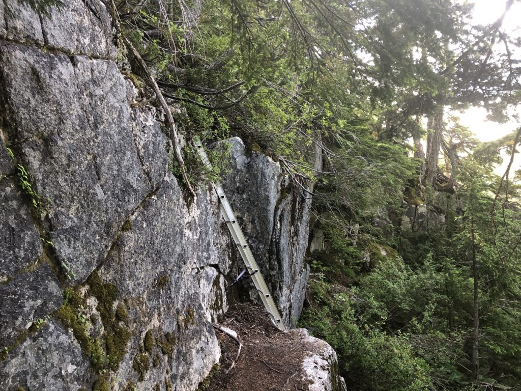 Mount Habrich Climber's Trail