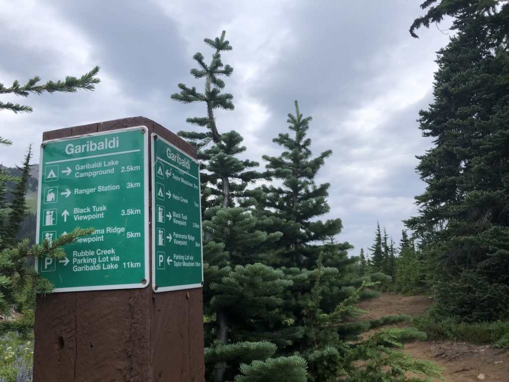 Panorama Ridge Viewpoint Trail