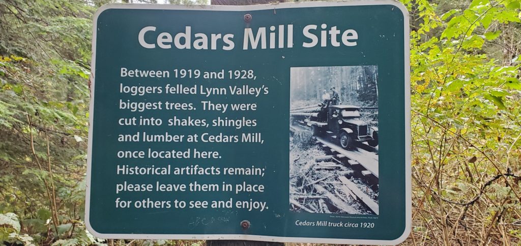 Cedars Mill Trail Norvan Falls Hike