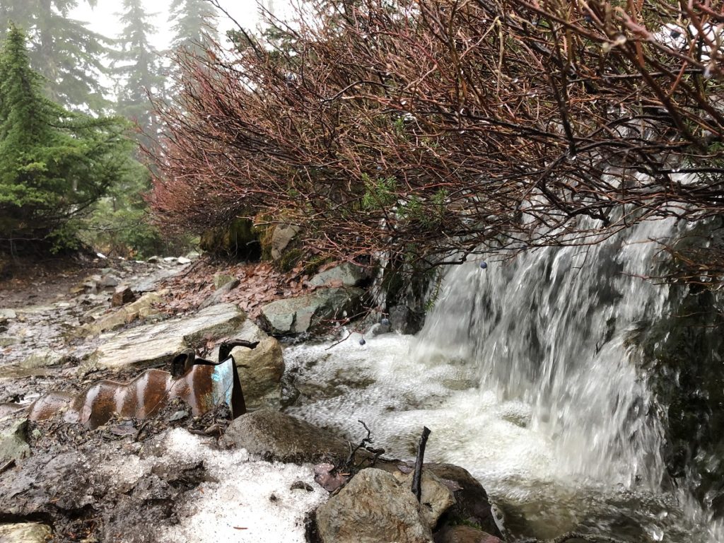 Elfin Lakes Hike