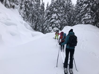 Beverley Creek Winter Trail