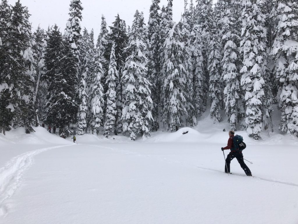 Intro to Backcountry Skiing - BC Mountaineering Club - BCMC
