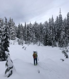 Mount Seymour Backcountry Skiing