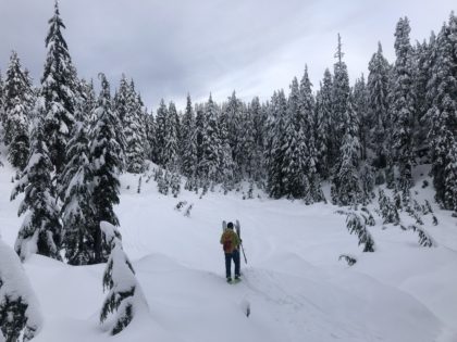 Mount Seymour Backcountry Skiing