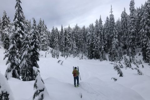 Mount Seymour Backcountry Skiing