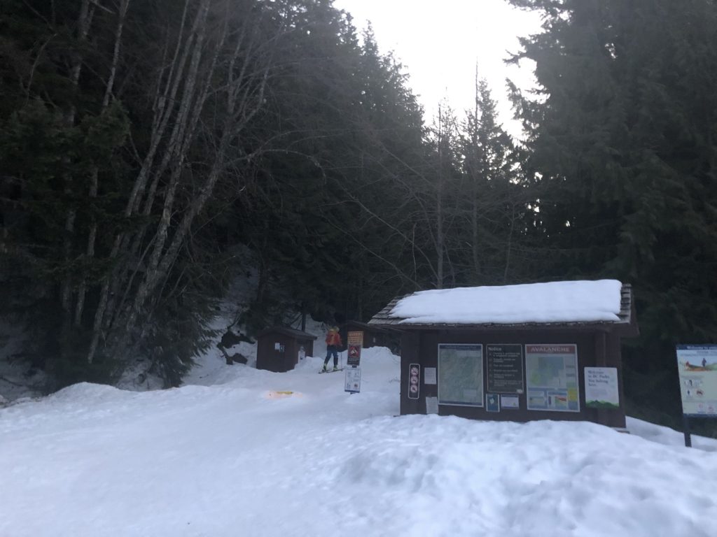 Elfin Lakes Backcountry Skiing