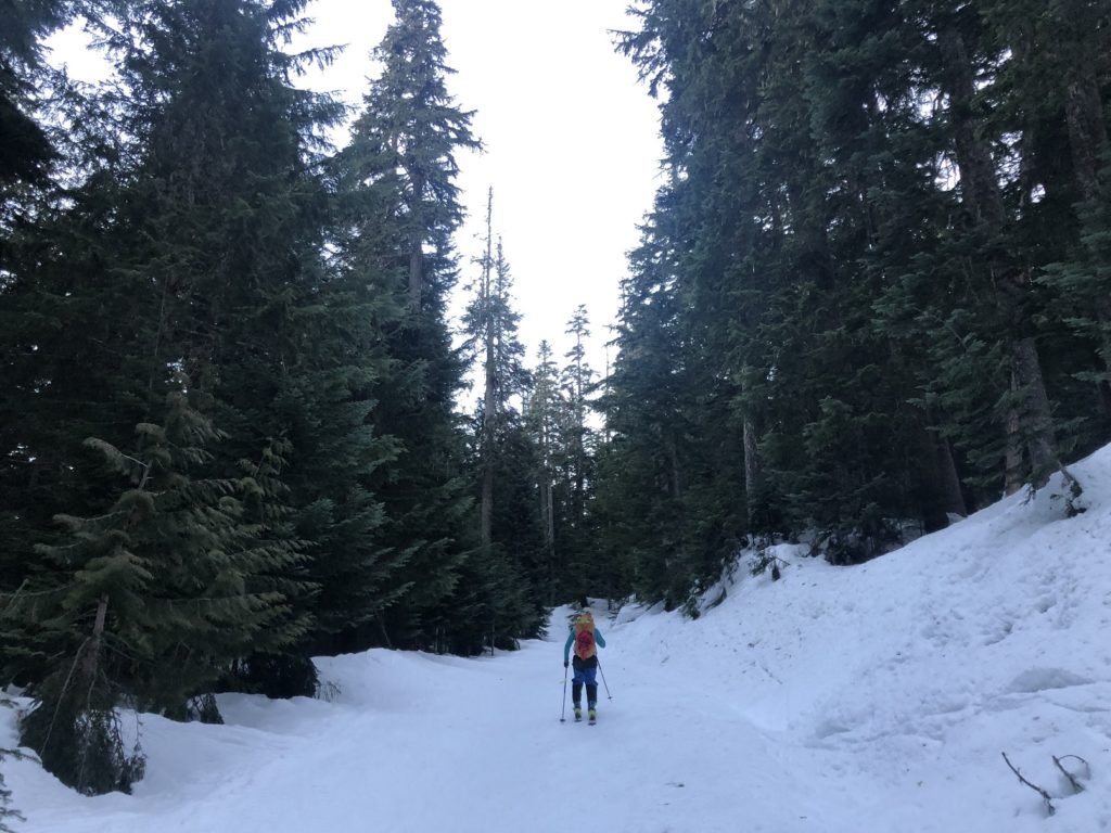 Elfin Lakes Backcountry Skiing