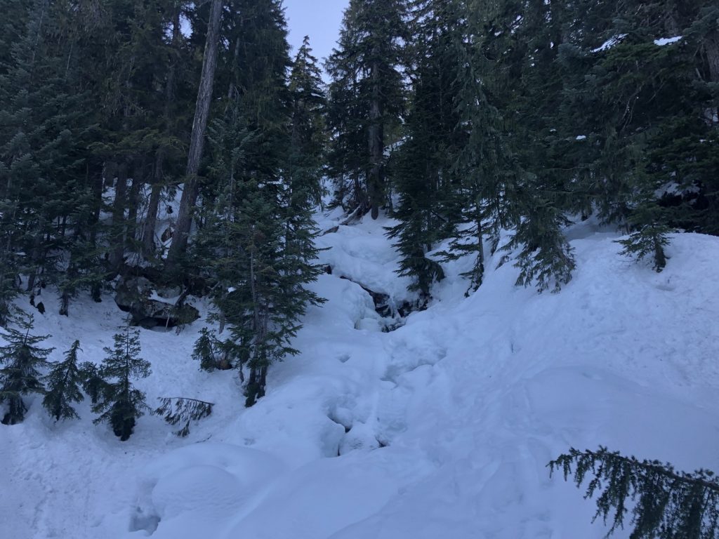 Elfin Lakes Backcountry Skiing