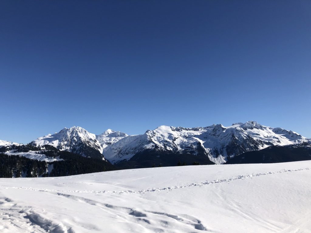 Elfin Lakes Backcountry Skiing