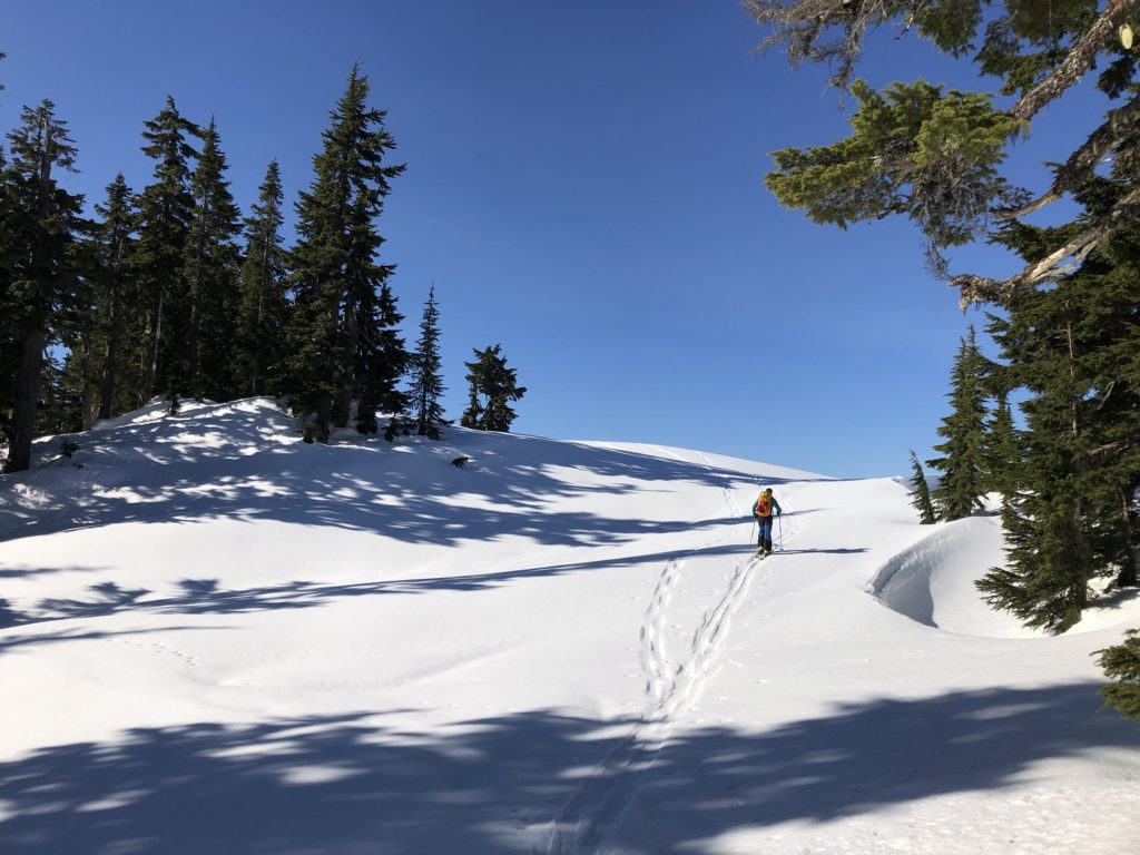 Elfin Lakes Backcountry Skiing