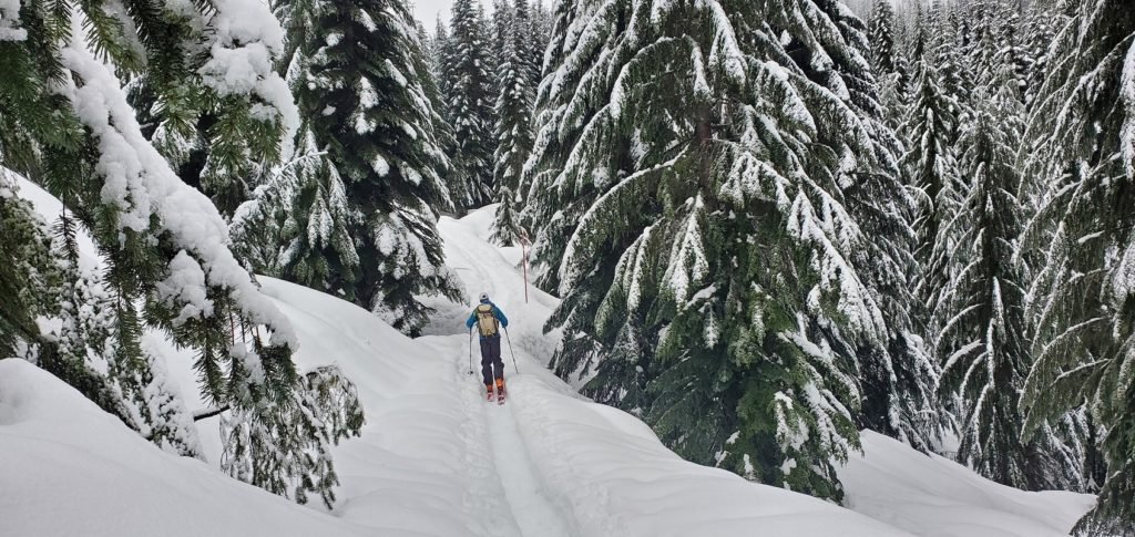 Black Mountain Backcountry Skiing