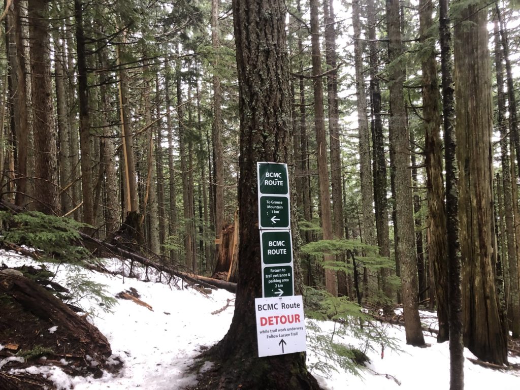 BCMC - Larsen Trail