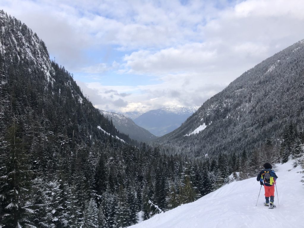 Habrich Spur trail in winter