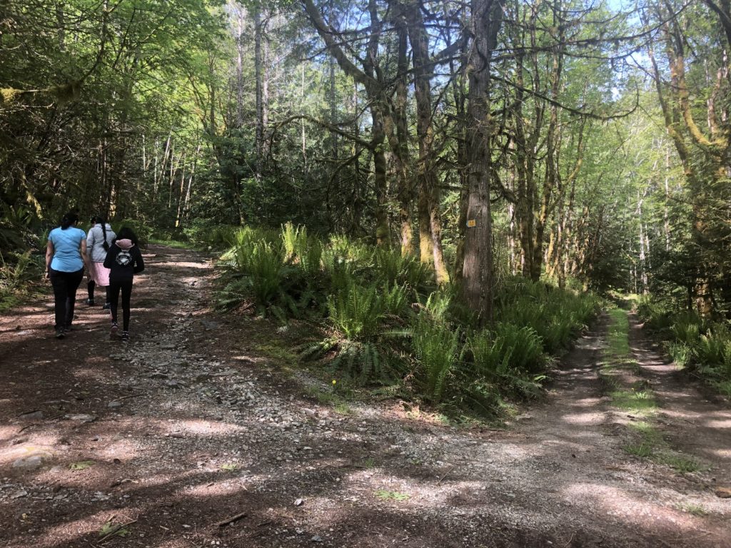 Mount Daniel Trail - Pender Harbour - Sunshine Coast Trip