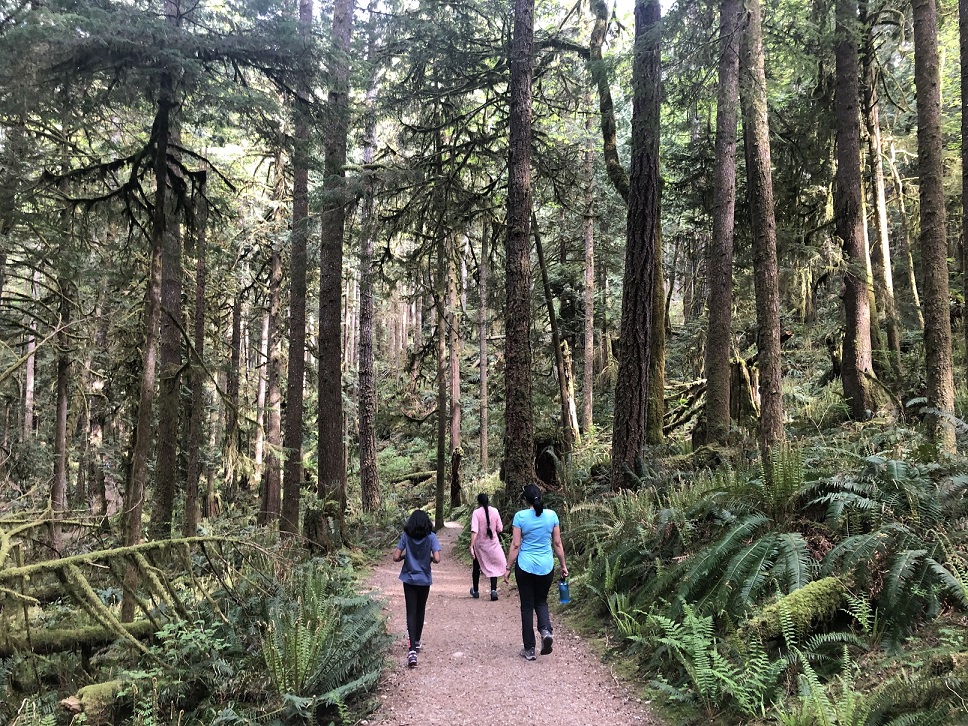 Sunshine Coast Trip - Skookumchuck Narrows Trail