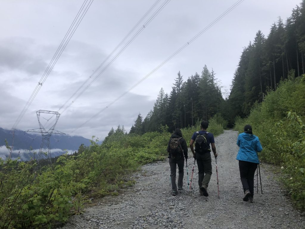 Sterling Loop Trail in Pinecone Burke Provincial Park