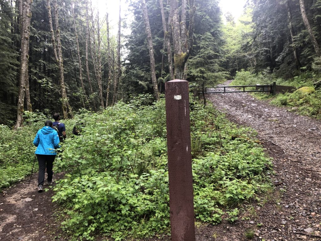 Sterling Loop Trail in Pinecone Burke Provincial Park