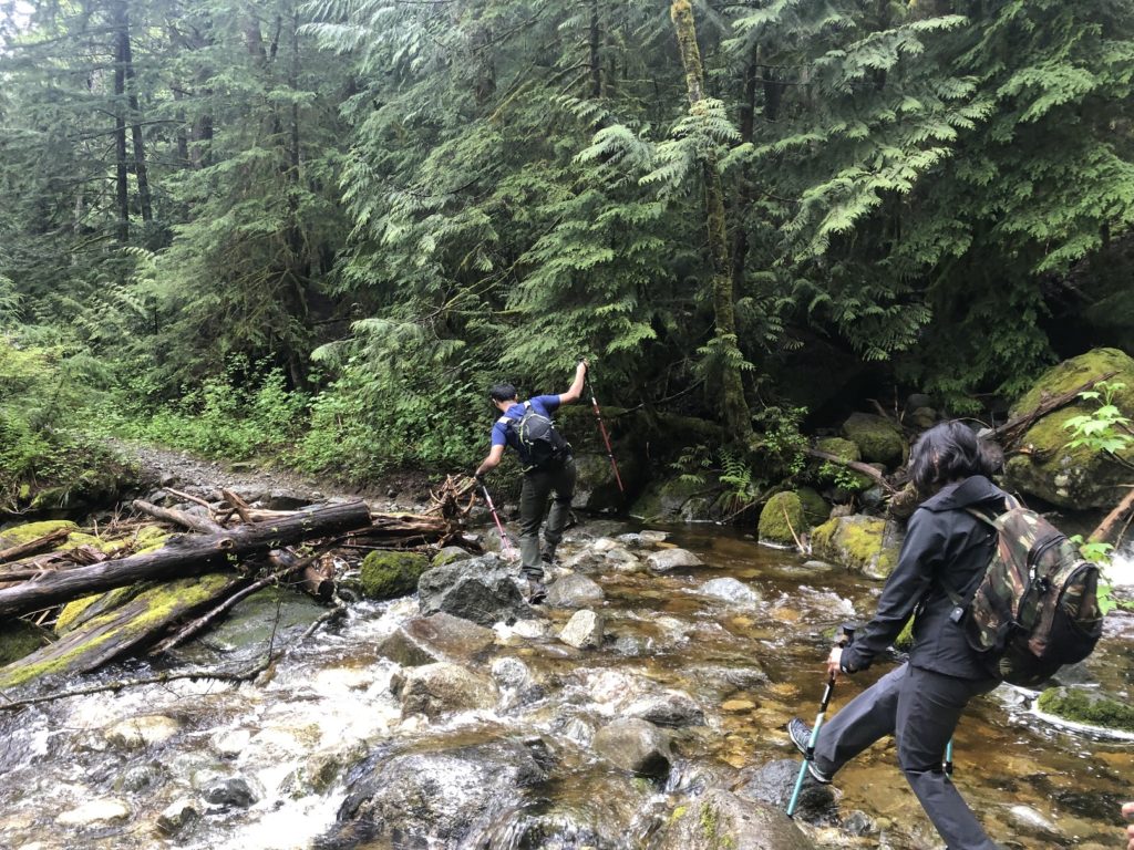 Sterling Loop Trail in Pinecone Burke Provincial Park