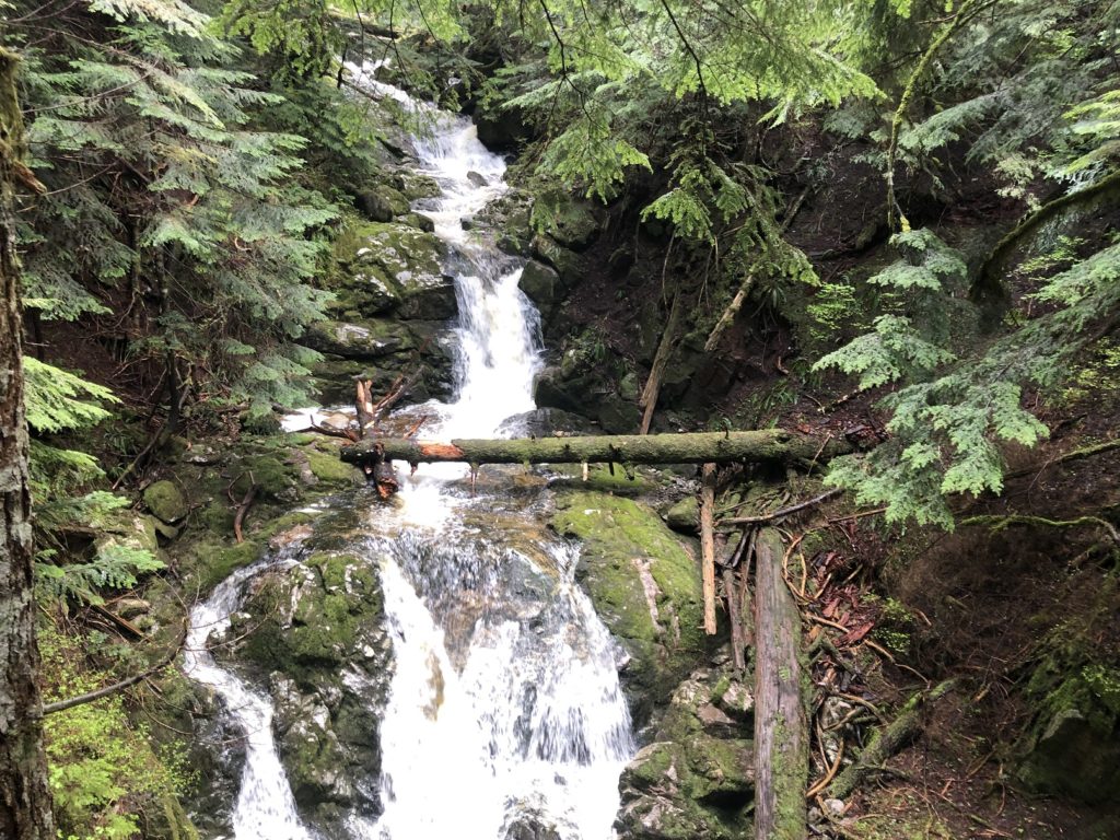 Sterling Loop Trail in Pinecone Burke Provincial Park