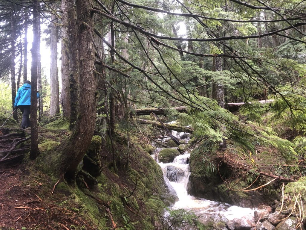 Sterling Loop Trail in Pinecone Burke Provincial Park