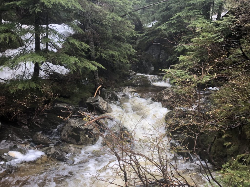 Sterling Loop Trail in Pinecone Burke Provincial Park