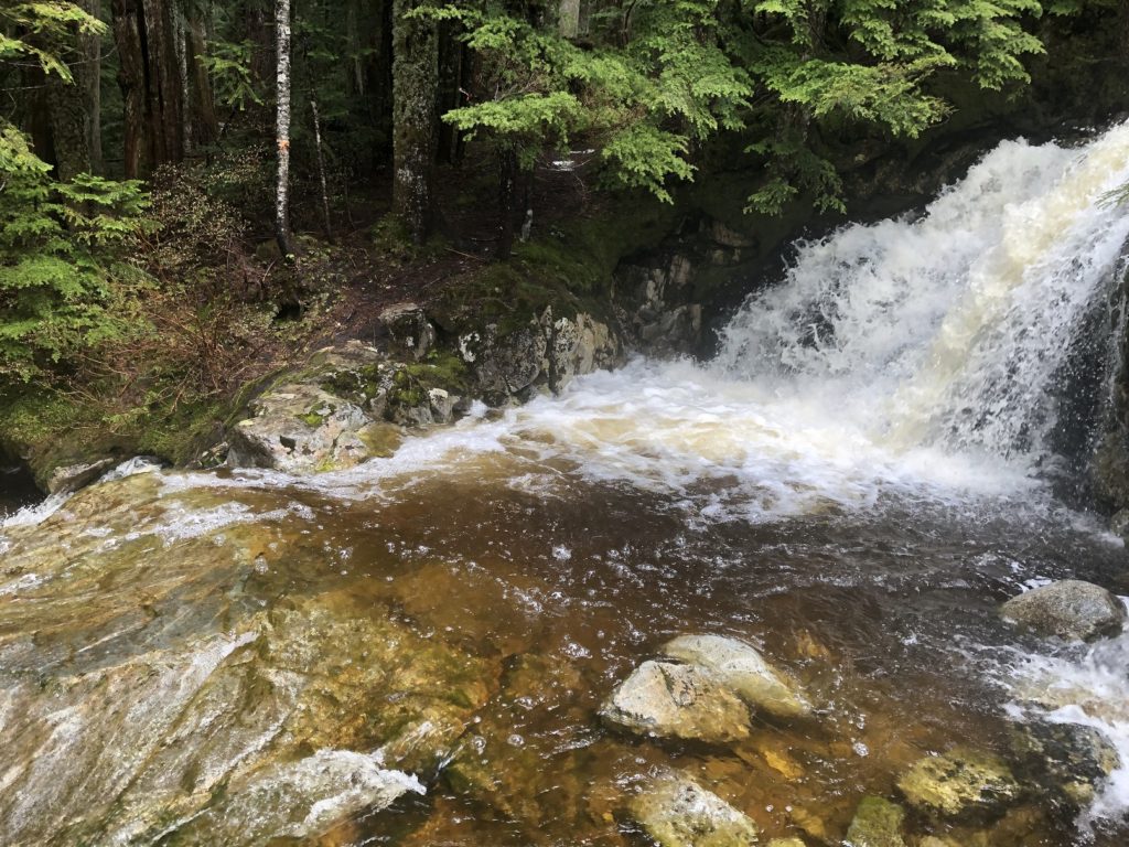 Sterling Loop Trail in Pinecone Burke Provincial Park